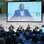 Panel Discussion, Monday 17